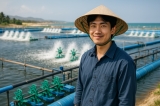Chiến Lược Phát Triển Công Nghệ Sản Xuất Giống Tôm Tại Việt Nam